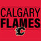 NHL Calgary Flames Lineup G203 Prodigy RGB Wired Gaming Mouse Skin